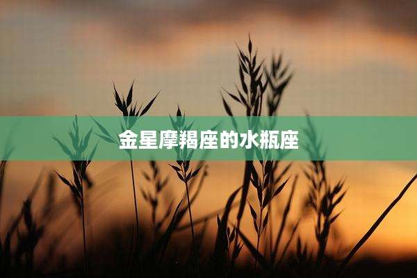 金星摩羯座的水瓶座