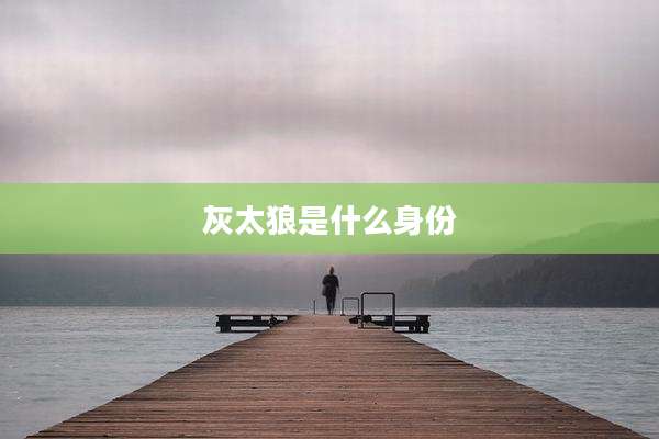 灰太狼是什么身份