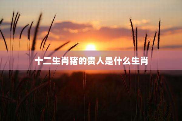 十二生肖猪的贵人是什么生肖