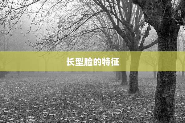 长型脸的特征