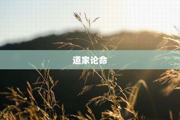 道家论命