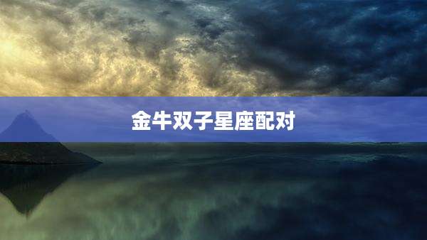 金牛双子星座配对