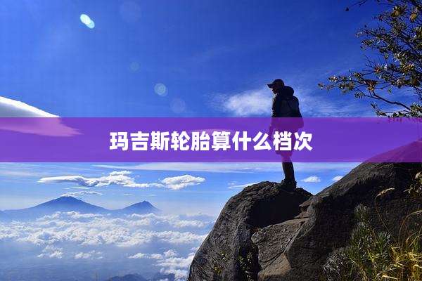 玛吉斯轮胎算什么档次