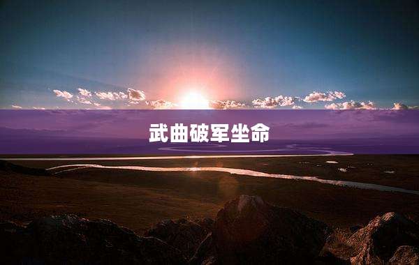 武曲破军坐命