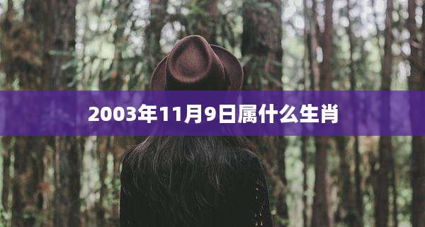 2003年11月9日属什么生肖