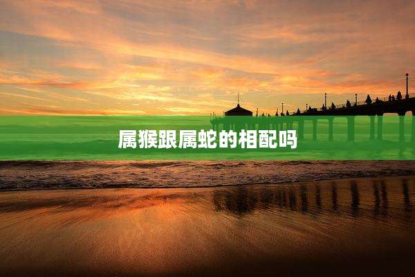 属猴跟属蛇的相配吗