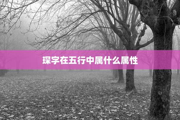 琛字在五行中属什么属性