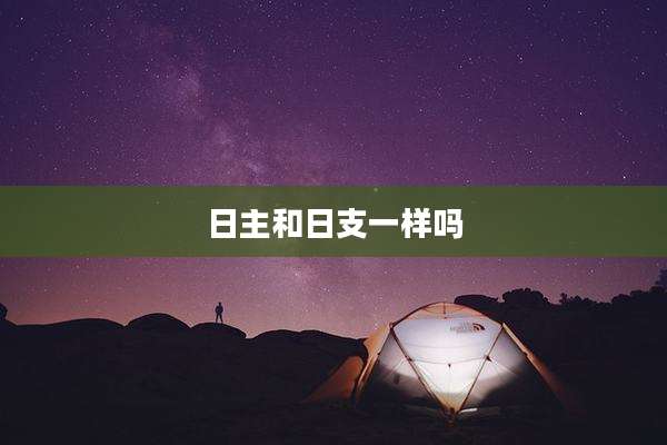 日主和日支一样吗