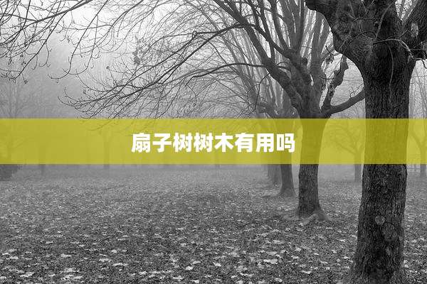 扇子树树木有用吗