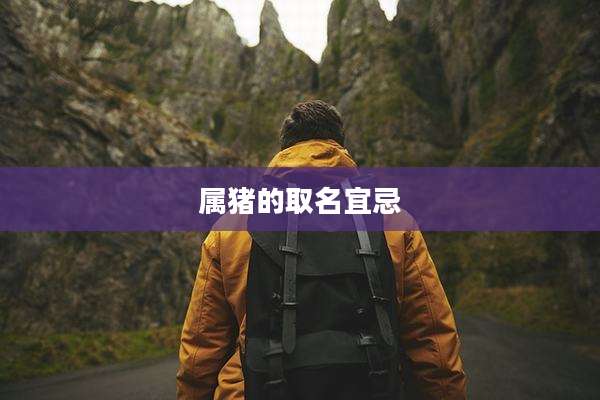 属猪的取名宜忌