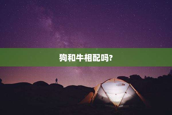 狗和牛相配吗?