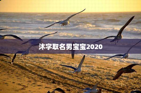 沐字取名男宝宝2020