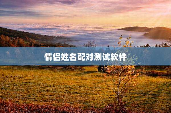 情侣姓名配对测试软件