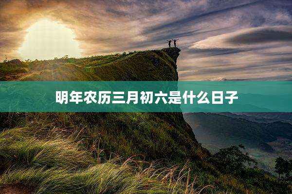 明年农历三月初六是什么日子