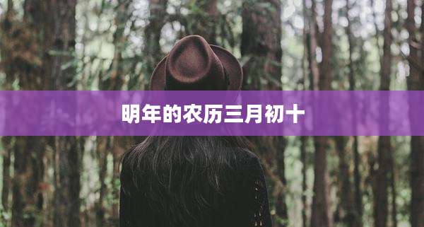明年的农历三月初十