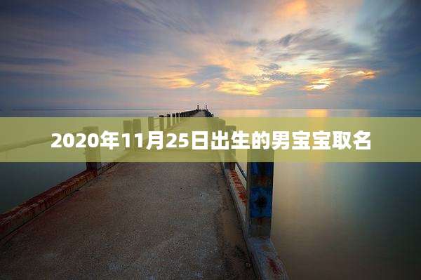 2020年11月25日出生的男宝宝取名