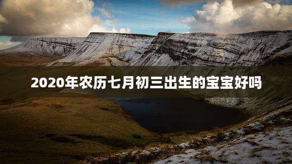 2020年农历七月初三出生的宝宝好吗