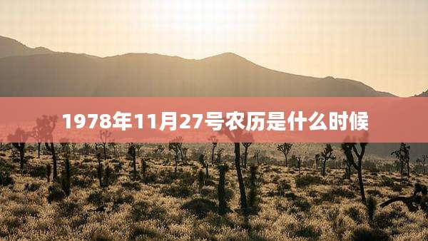 1978年11月27号农历是什么时候