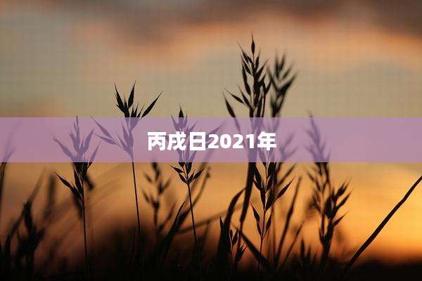 丙戌日2021年