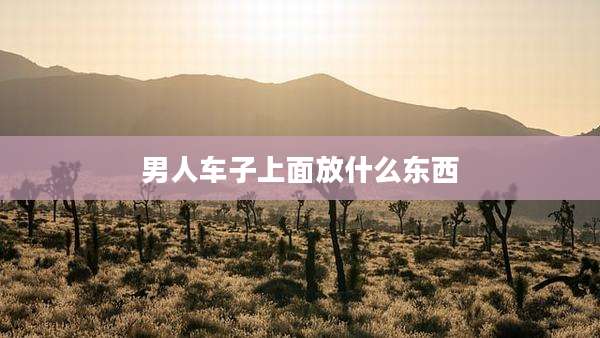 男人车子上面放什么东西