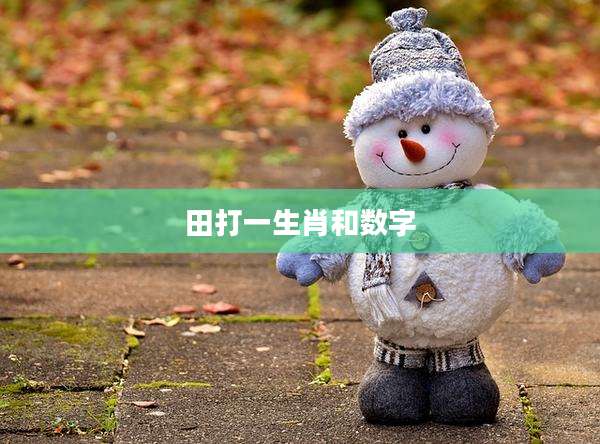 田打一生肖和数字