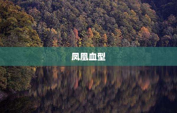 凤凰血型