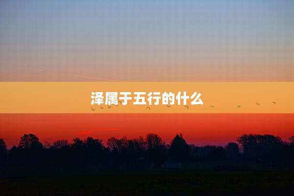 泽属于五行的什么