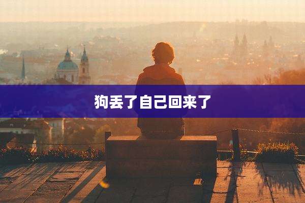 狗丢了自己回来了