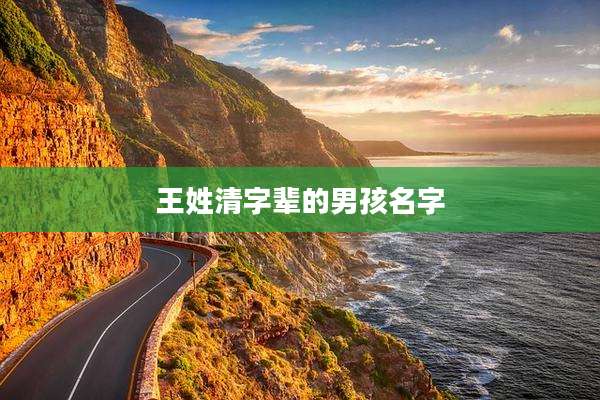 王姓清字辈的男孩名字