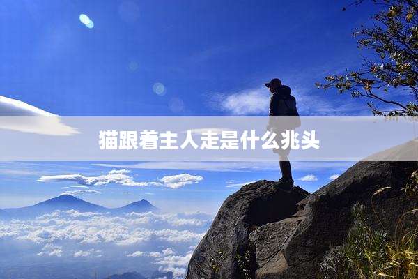 猫跟着主人走是什么兆头