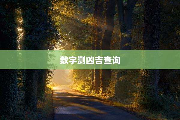 数字测凶吉查询