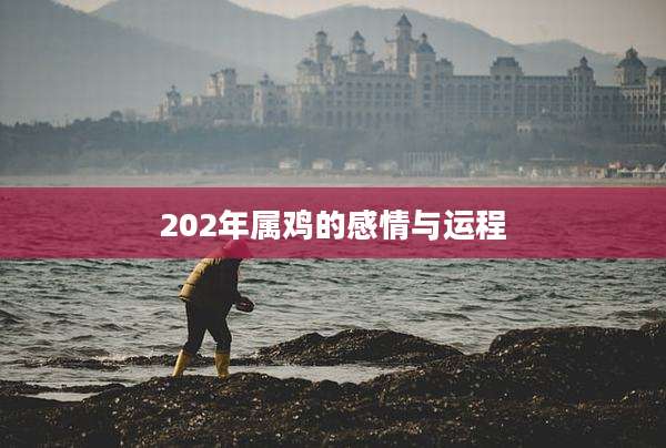 202年属鸡的感情与运程