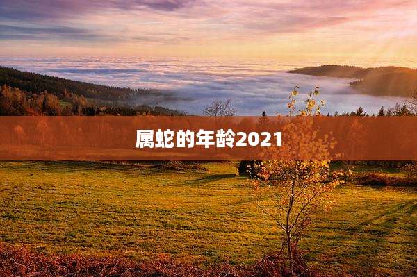 属蛇的年龄2021