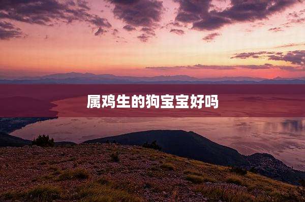 属鸡生的狗宝宝好吗