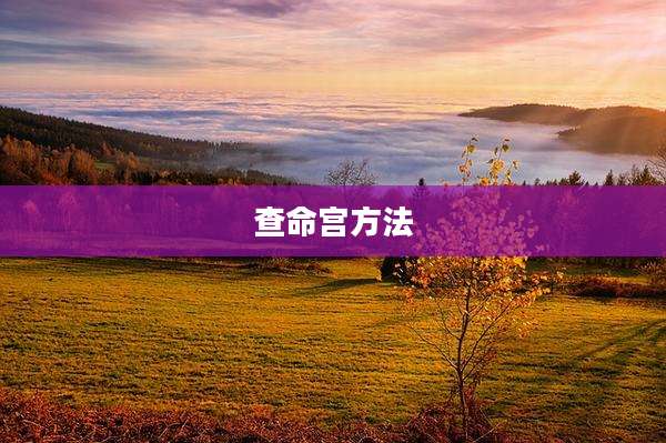 查命宫方法