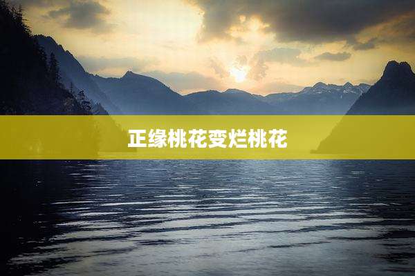 正缘桃花变烂桃花