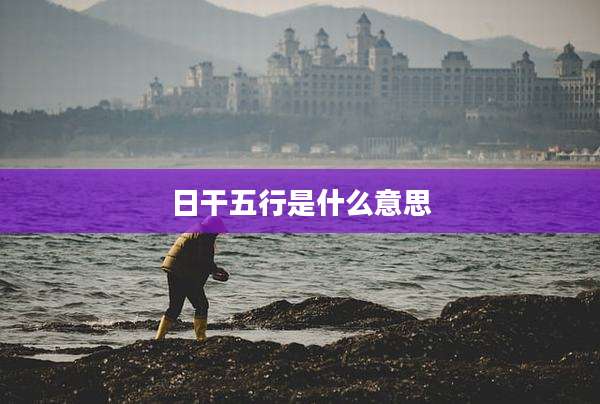 日干五行是什么意思