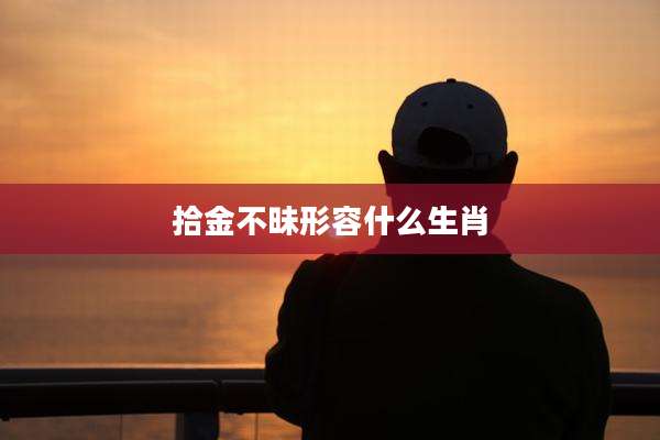 拾金不昧形容什么生肖