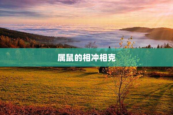 属鼠的相冲相克