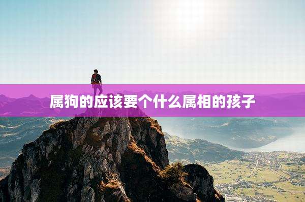 属狗的应该要个什么属相的孩子