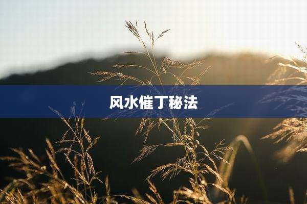 风水催丁秘法