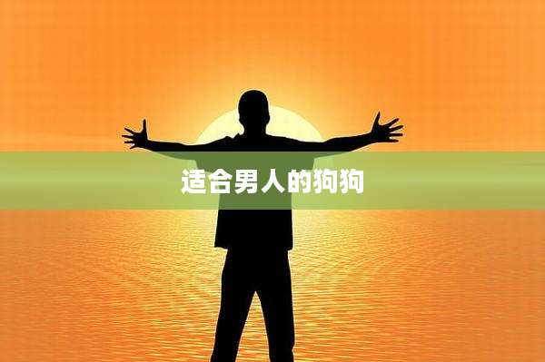 适合男人的狗狗