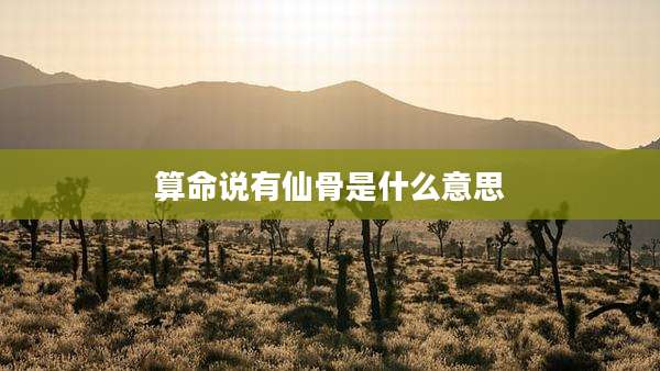 算命说有仙骨是什么意思