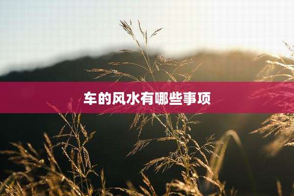 车的风水有哪些事项