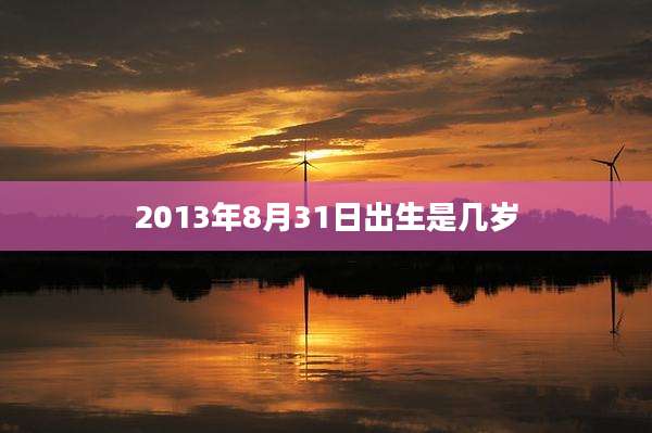 2013年8月31日出生是几岁