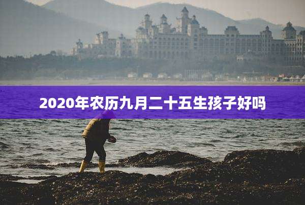 2020年农历九月二十五生孩子好吗