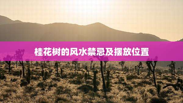 桂花树的风水禁忌及摆放位置
