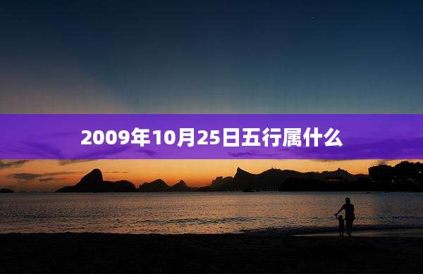 2009年10月25日五行属什么