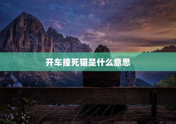 开车撞死猫是什么意思