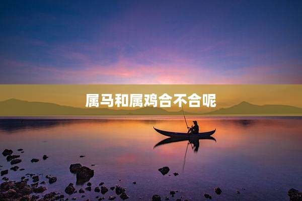 属马和属鸡合不合呢